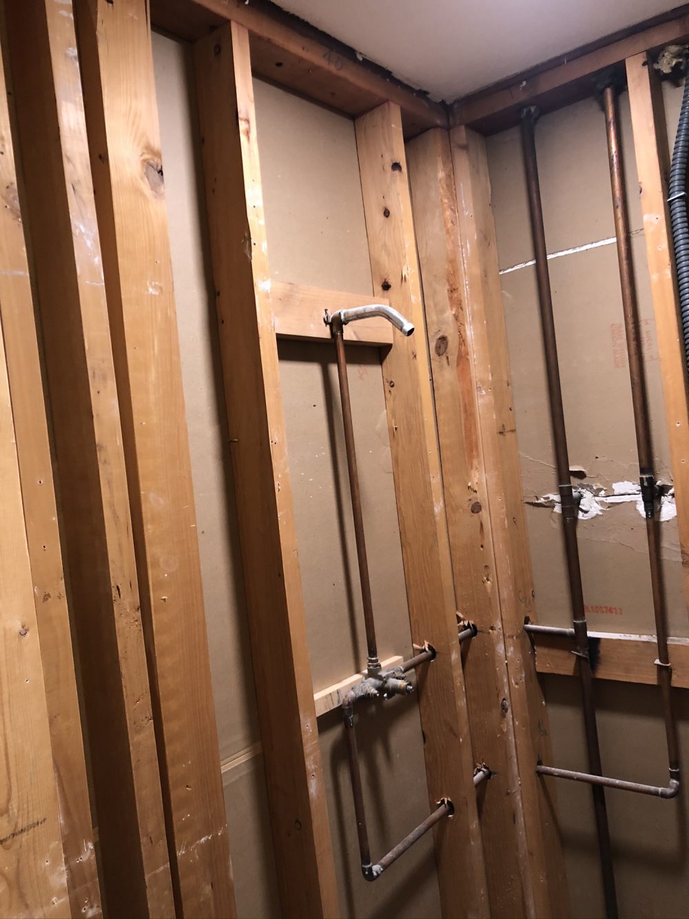 Shower Renovation