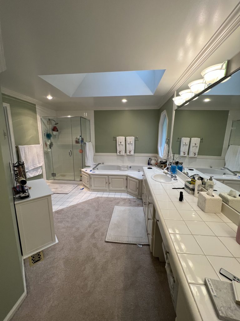 Bathroom Project Bellevue