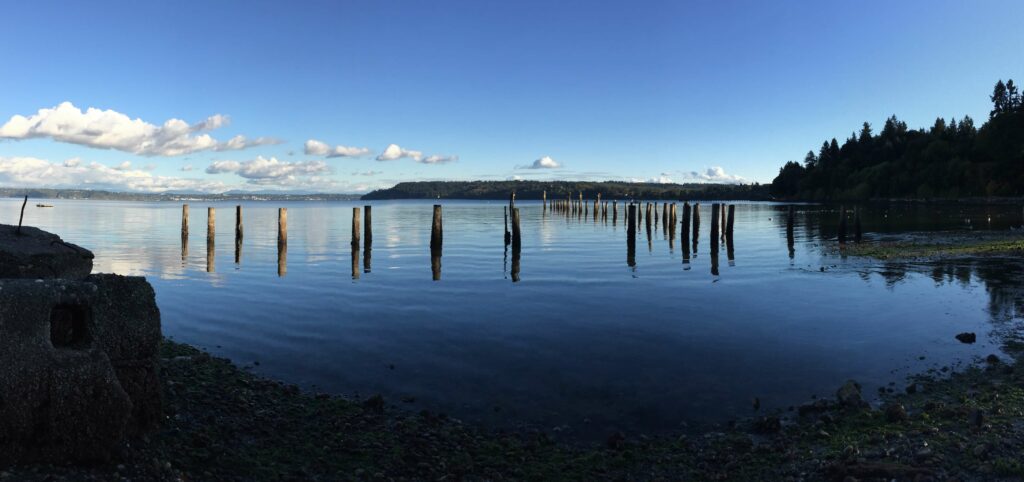 Vashon Island View